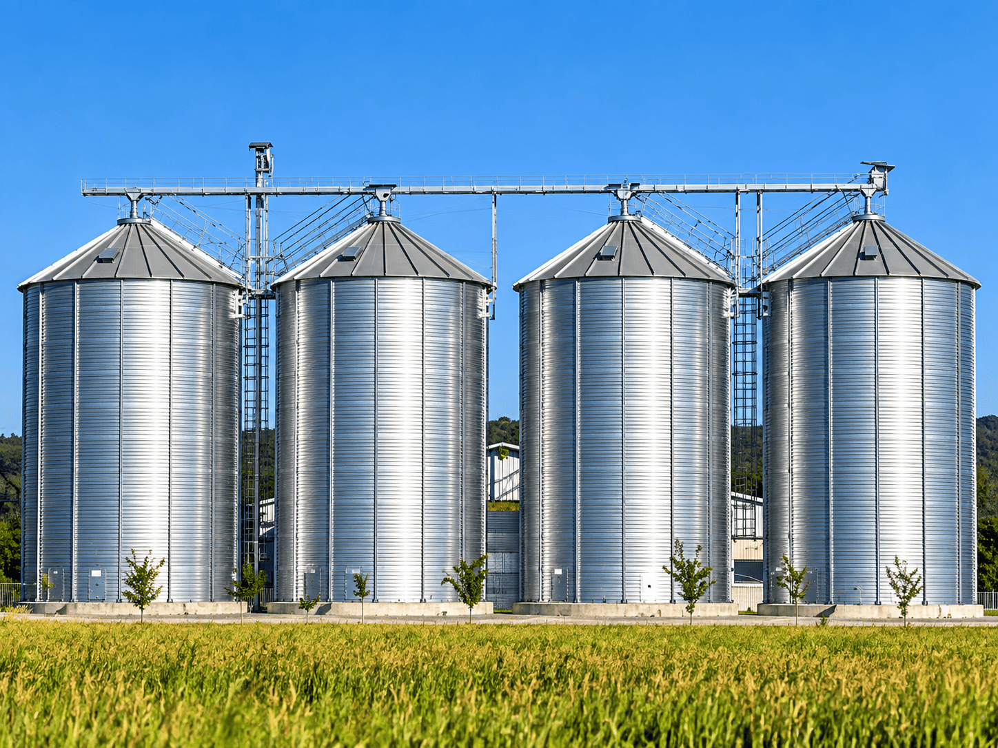Grain Storage Silo